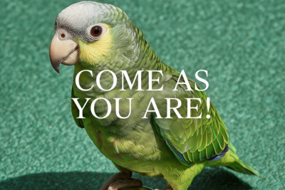 Come as you are!