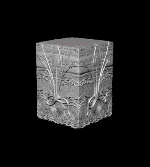 schwarzes Bild mit grauem Objekt, dass den Aufbau der Haut darstellt