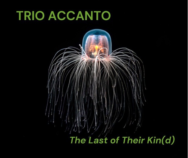 Illustration Trio Accanto