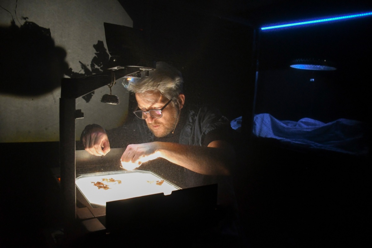 Aufführungsbild von 